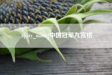 滨州中国冠军九宫格