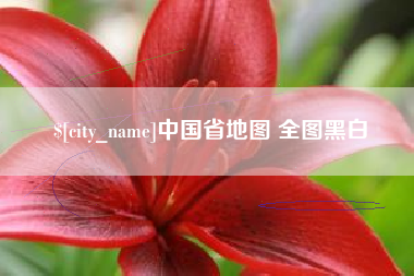 滨州中国省地图 全图黑白