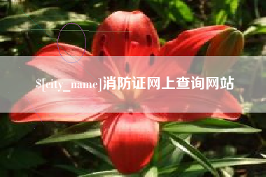滨州消防证网上查询网站