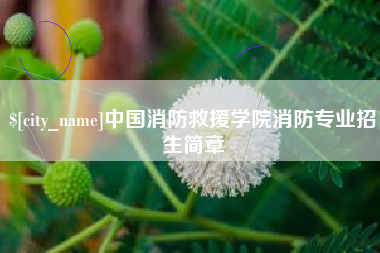 滨州中国消防救援学院消防专业招生简章