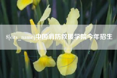 滨州中国消防救援学院今年招生