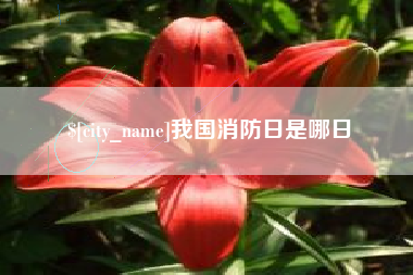 滨州我国消防日是哪日