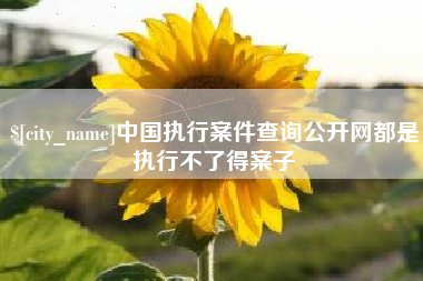 滨州中国执行案件查询公开网都是执行不了得案子