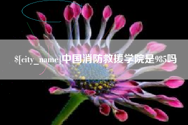 滨州中国消防救援学院是985吗