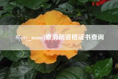 滨州查消防资格证书查询