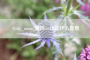 滨州消防ccc认证什么意思