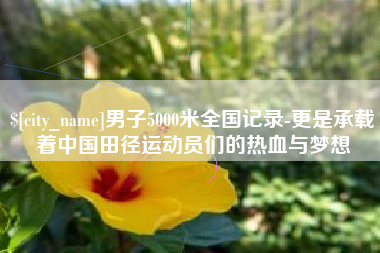 滨州男子5000米全国记录-更是承载着中国田径运动员们的热血与梦想