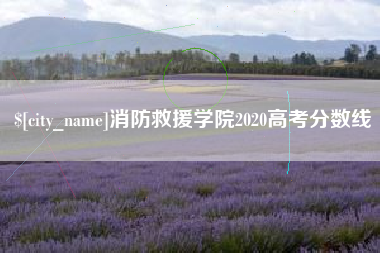 滨州消防救援学院2020高考分数线