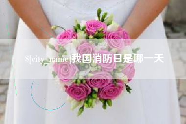 滨州我国消防日是哪一天