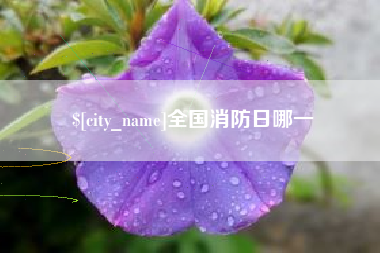 滨州全国消防日哪一