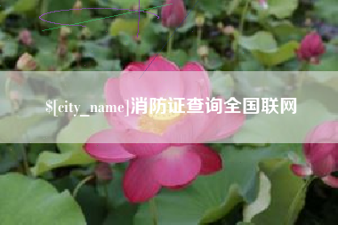 滨州消防证查询全国联网