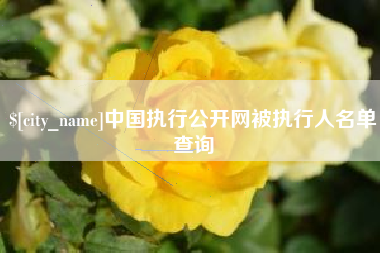 滨州中国执行公开网被执行人名单查询
