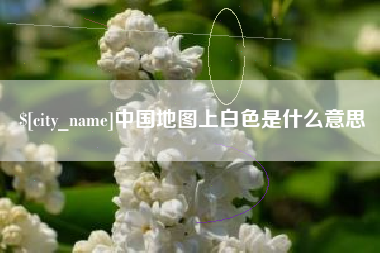 滨州中国地图上白色是什么意思