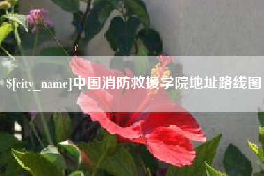 滨州中国消防救援学院地址路线图