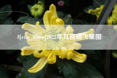 滨州2022年九宫格飞星图