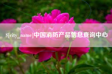 滨州中国消防产品信息查询中心