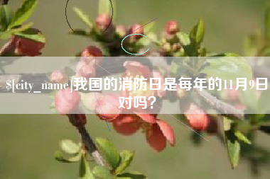 滨州我国的消防日是每年的11月9日对吗？