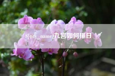 滨州九宫如何排日