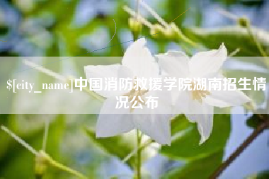 滨州中国消防救援学院湖南招生情况公布