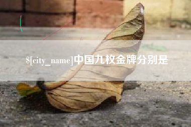 滨州中国九枚金牌分别是