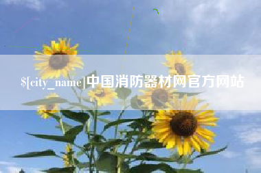 滨州中国消防器材网官方网站