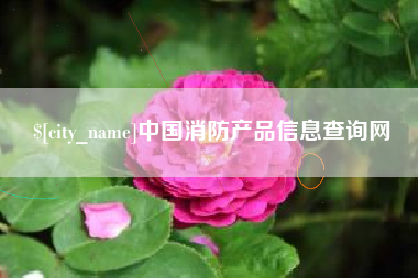 滨州中国消防产品信息查询网