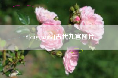 滨州古代九宫图片