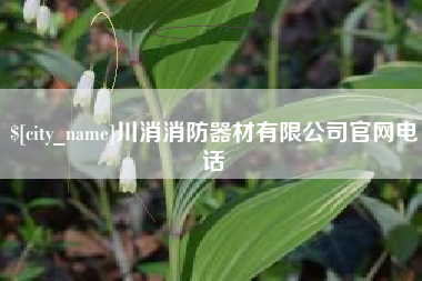 滨州川消消防器材有限公司官网电话