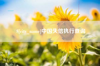 滨州中国失信执行查询