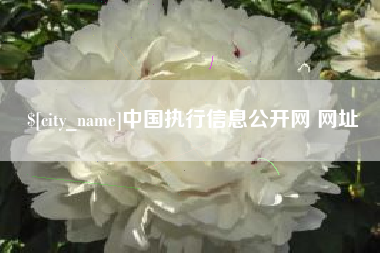 滨州中国执行信息公开网 网址