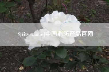 滨州中国消防产品官网