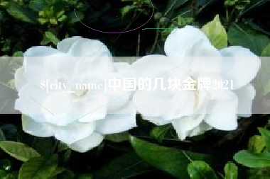 滨州中国的几块金牌2021