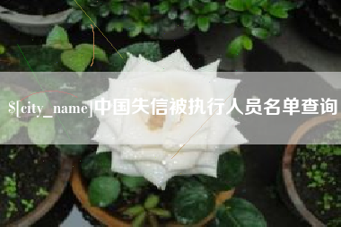 滨州中国失信被执行人员名单查询