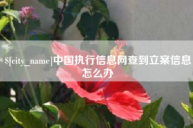 滨州中国执行信息网查到立案信息怎么办