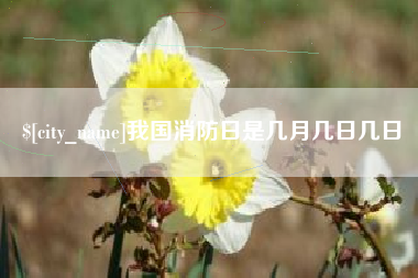 滨州我国消防日是几月几日几日