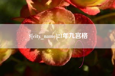 滨州21年九宫格