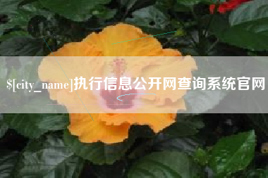 滨州执行信息公开网查询系统官网