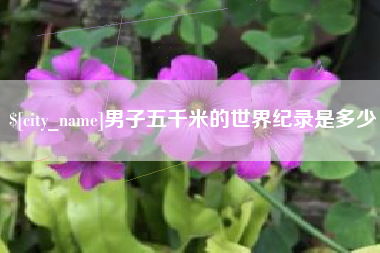 滨州男子五千米的世界纪录是多少