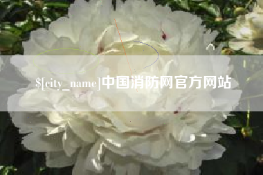 滨州中国消防网官方网站