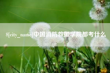 滨州中国消防救援学院都考什么