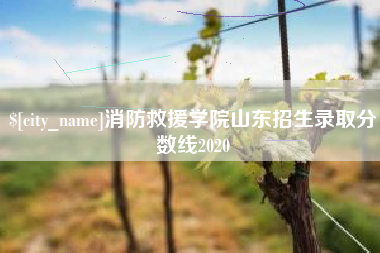 滨州消防救援学院山东招生录取分数线2020