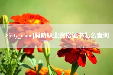 滨州消防职业资格证书怎么查询