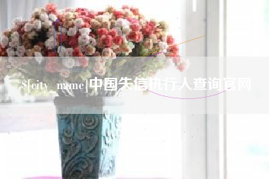 滨州中国失信执行人查询官网