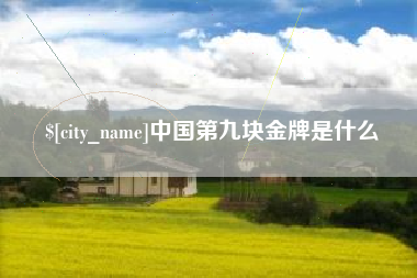 滨州中国第九块金牌是什么
