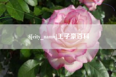 滨州王子豪百科