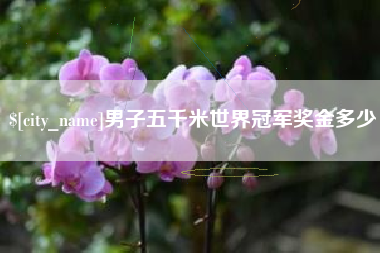 滨州男子五千米世界冠军奖金多少