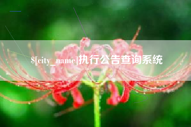 滨州执行公告查询系统