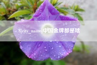 滨州中国金牌都是啥