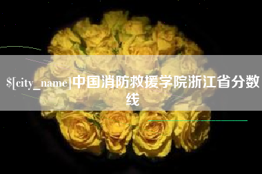 滨州中国消防救援学院浙江省分数线
