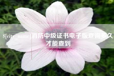 滨州消防中级证书电子版查询多久才能查到